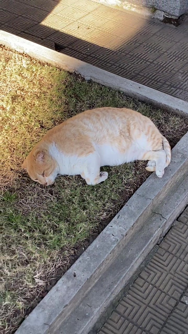 @𝘊𝘦𝘱𝘪
