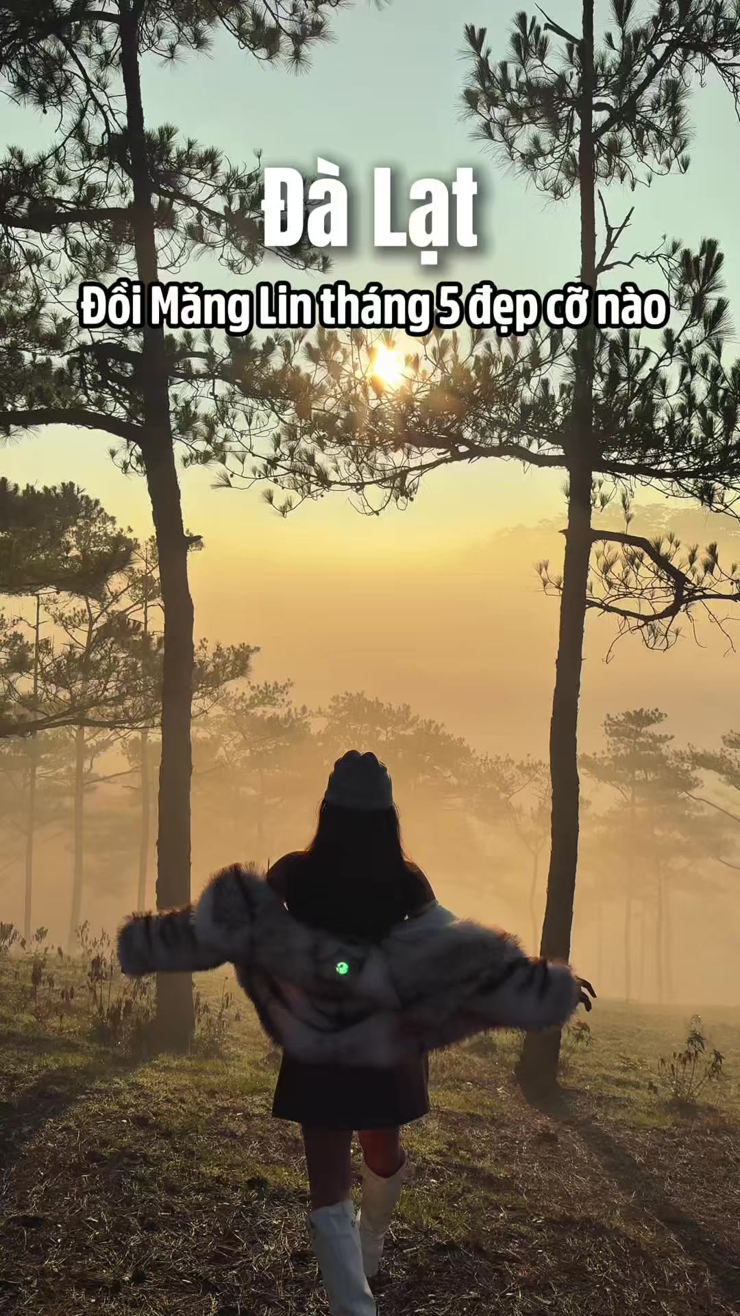 @thao leader