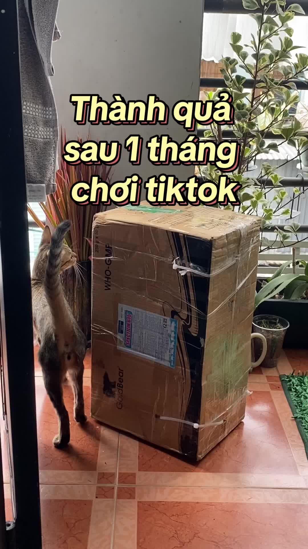 @Cây nhiều lá 🌿