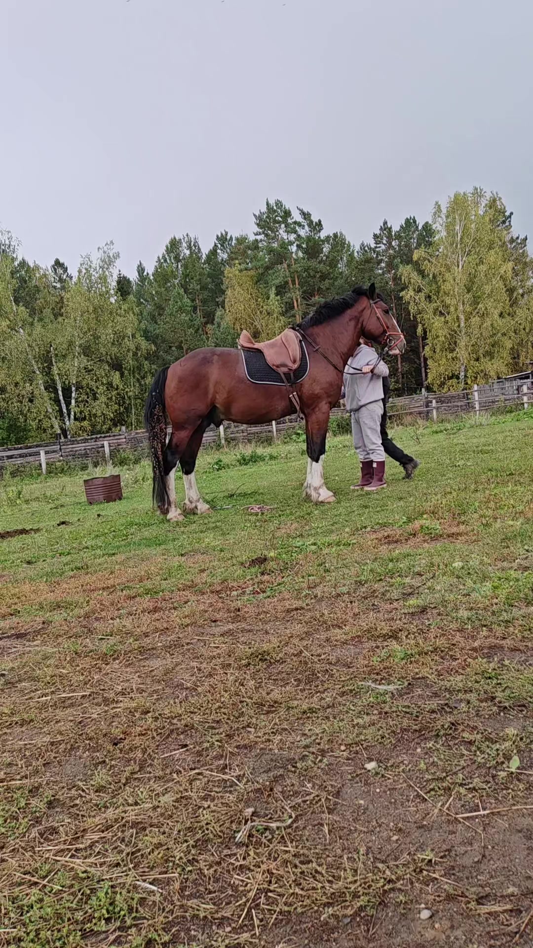 @Юлия