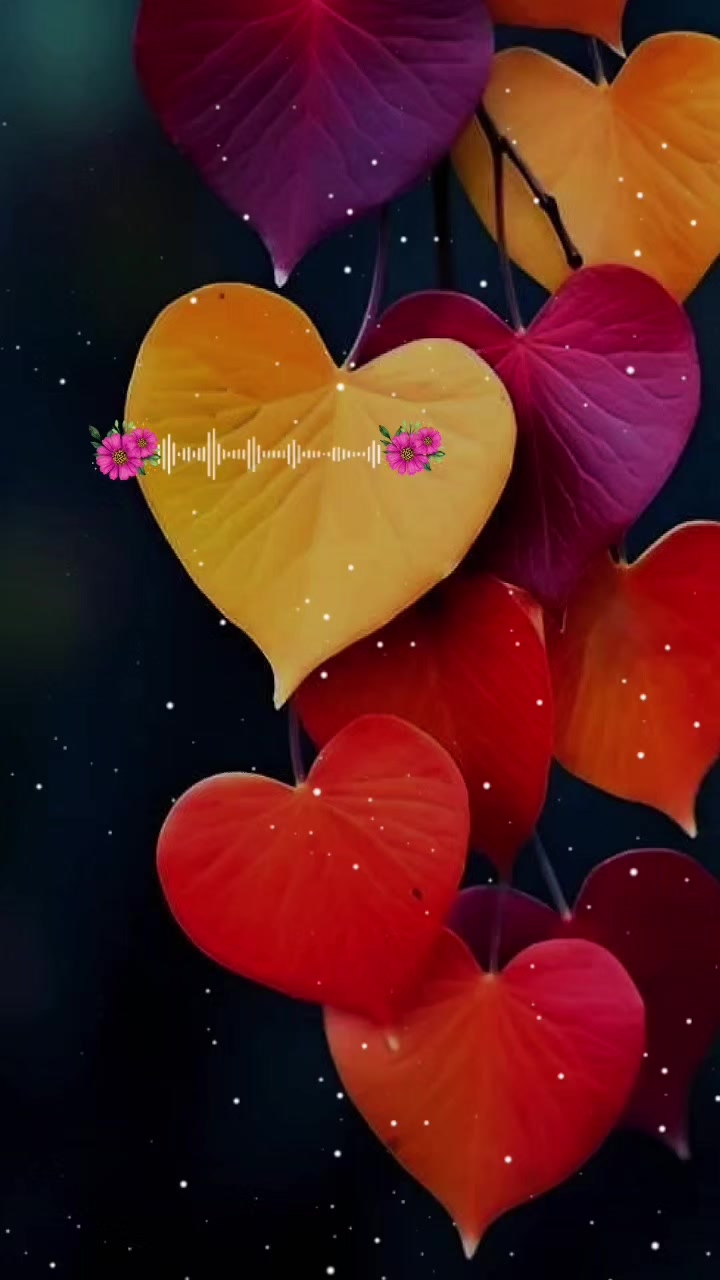 @๐๐๐.๐ผ๐๐๐ฃ๐ค๐ ๐ ๐๐ค