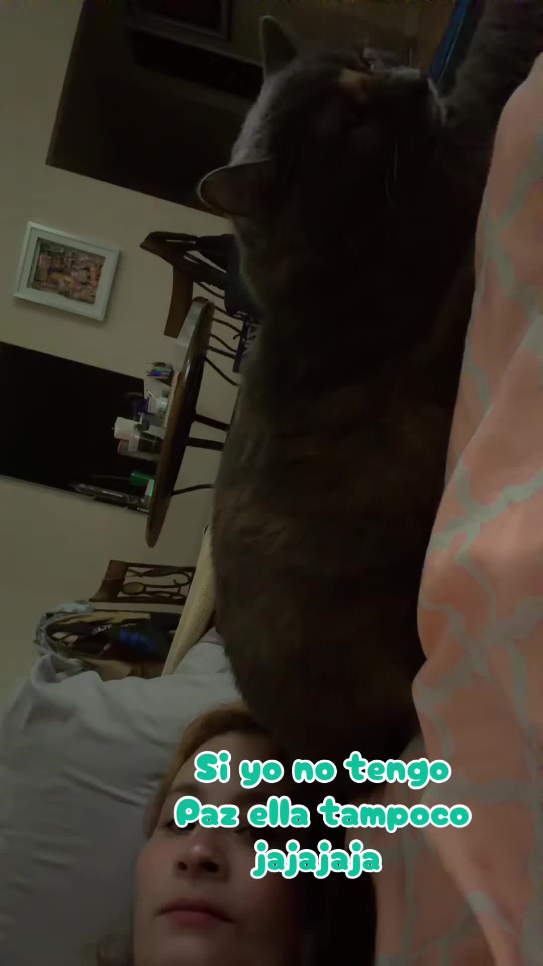 @Krazypaws🐾