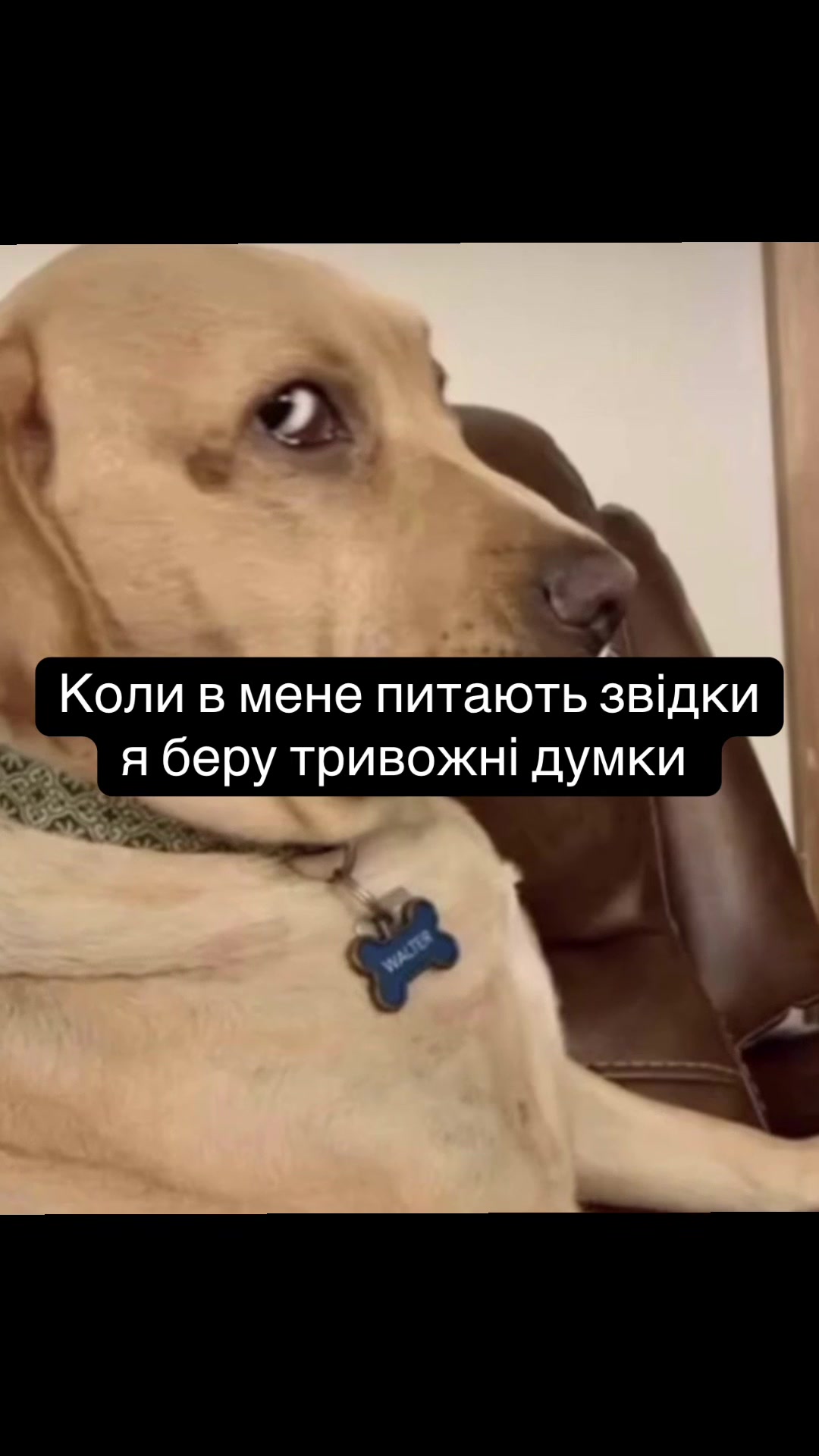 @๐ฟ๐๐๐๐