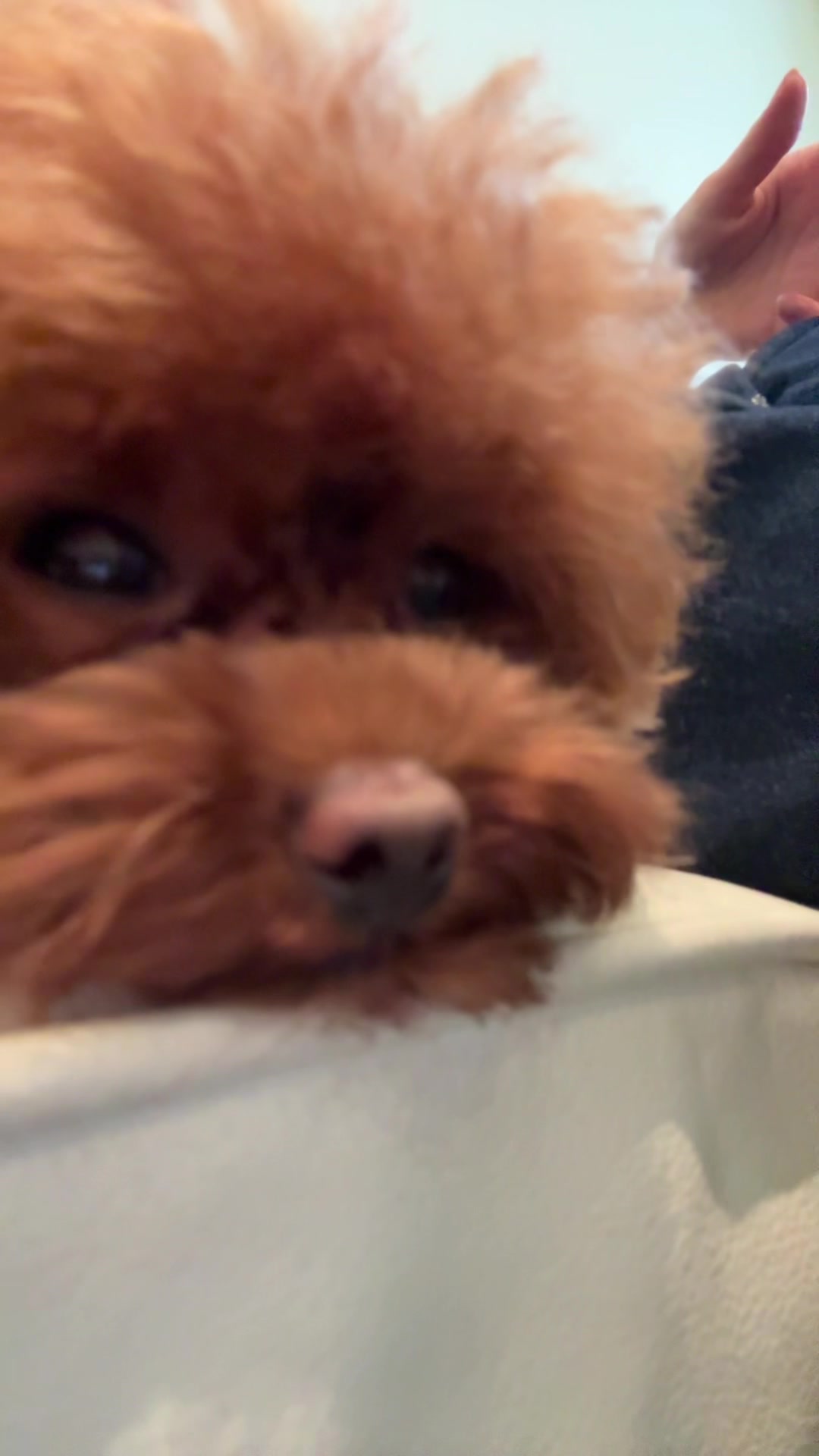@стефи🍓