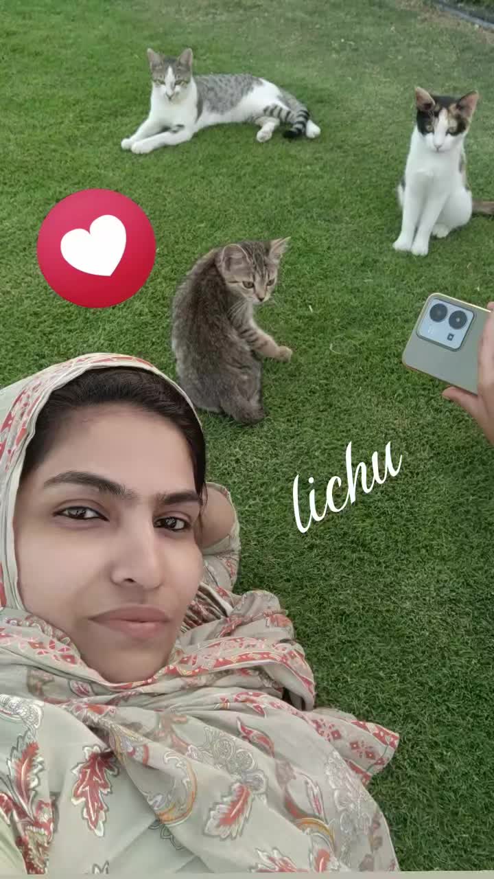 @lichu ❤️ lichu