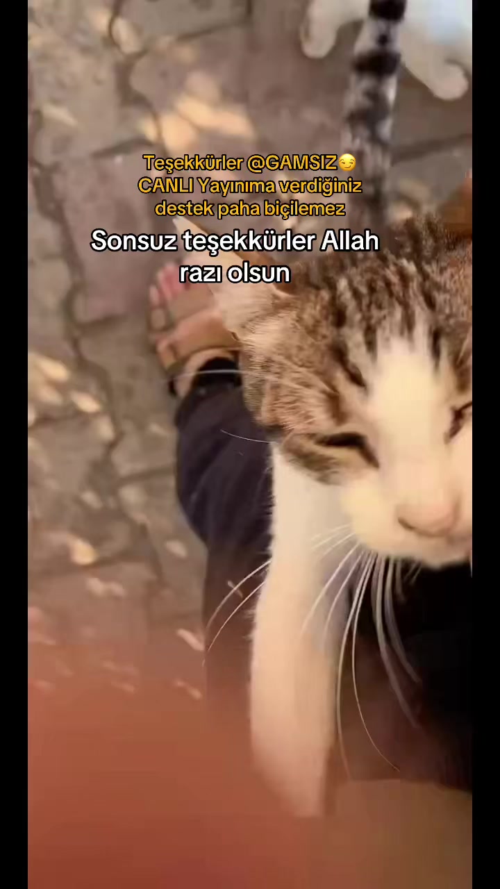 @Gönülünpatileri