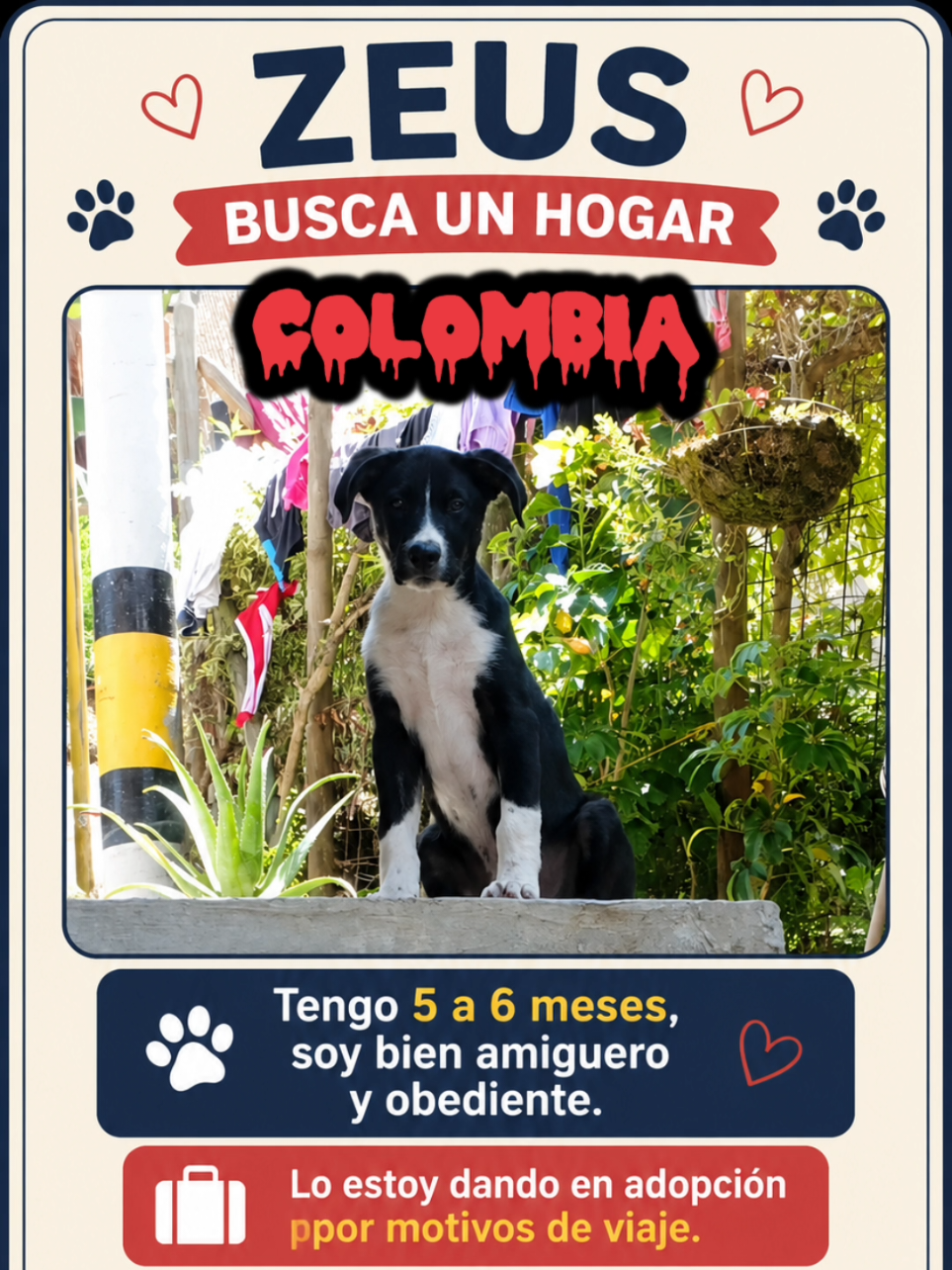 @Perritos Voladores