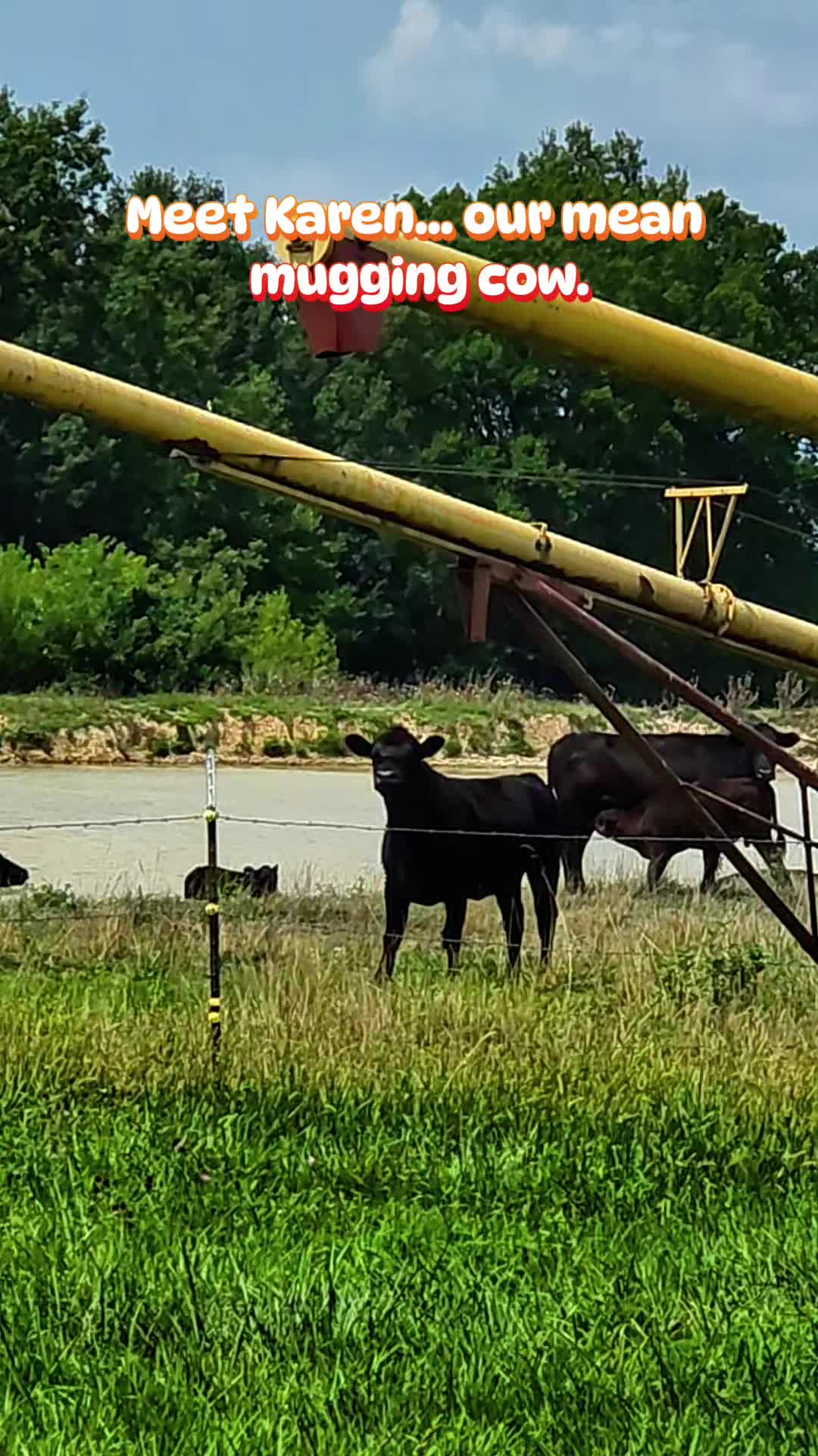 @FarmFun33