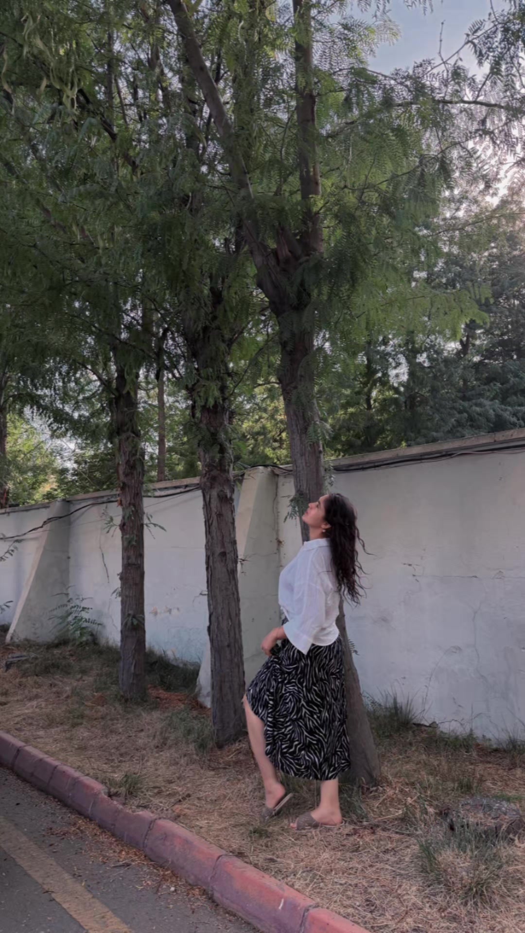 @Ayşe Tosun569