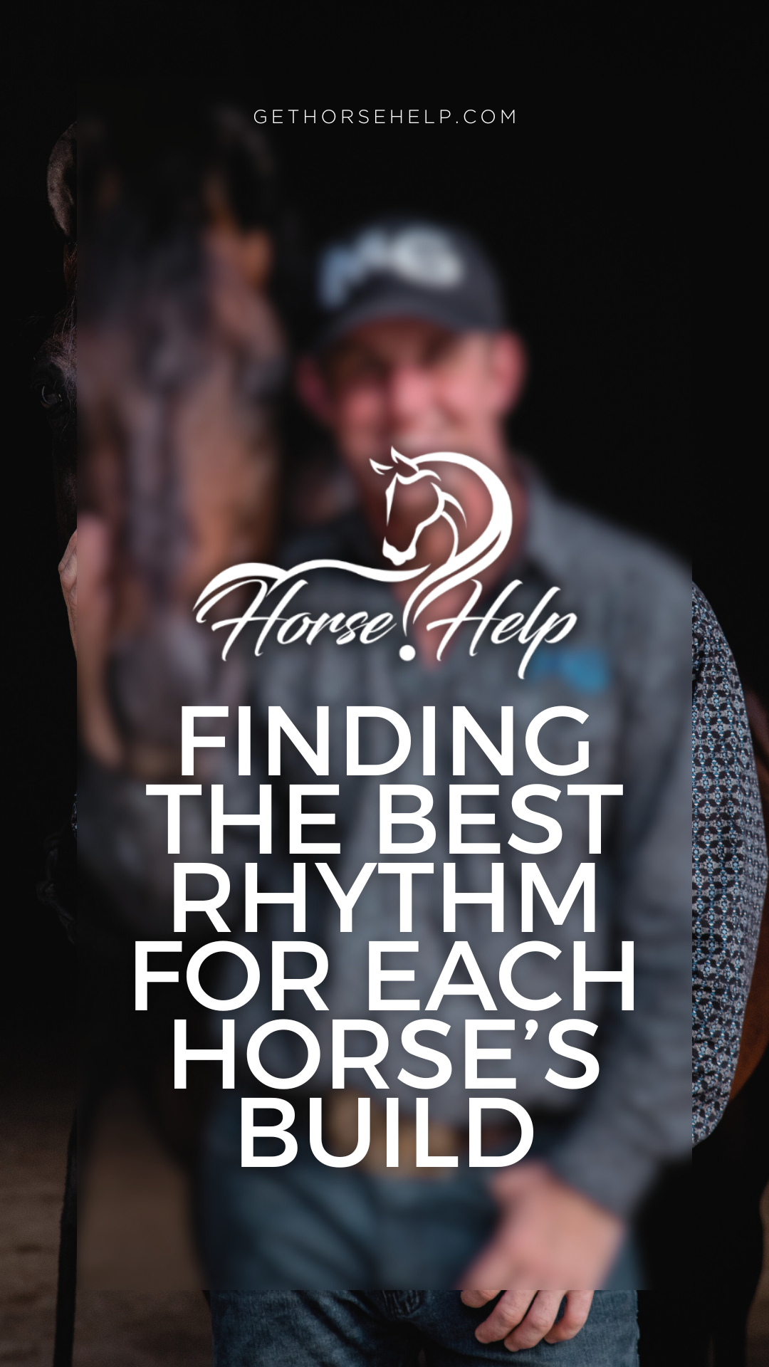 @Horse Help
