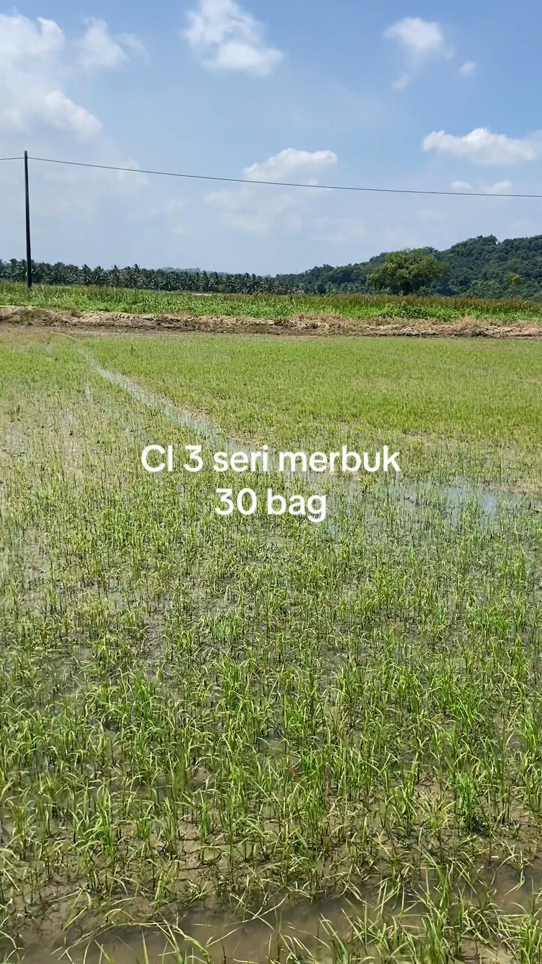 @mendronepadi