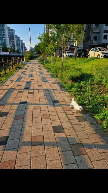 @아콩맘♡