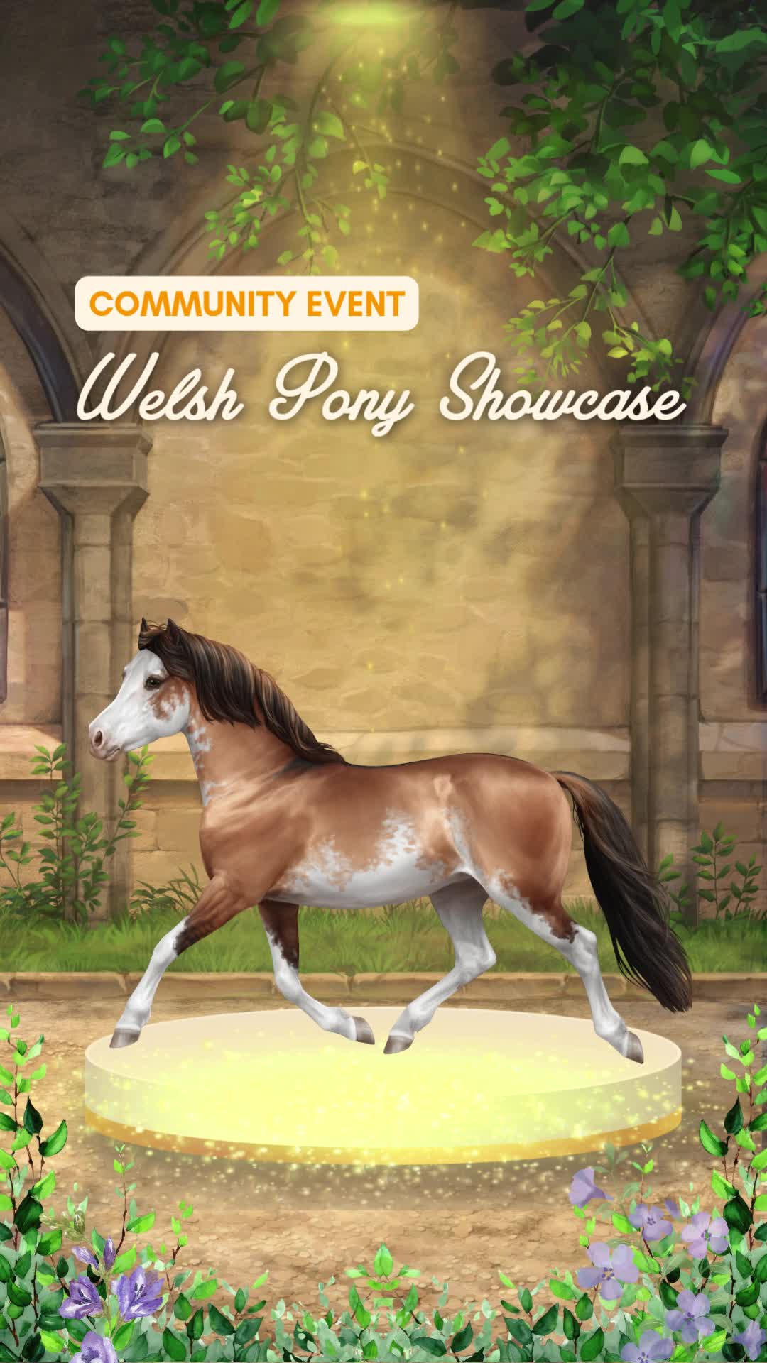 @Horse Reality