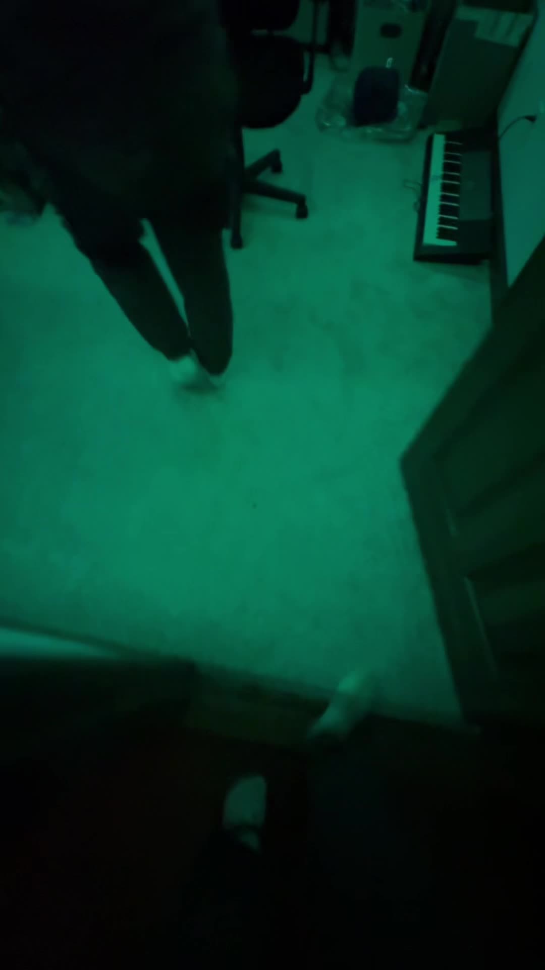 @chlowoah