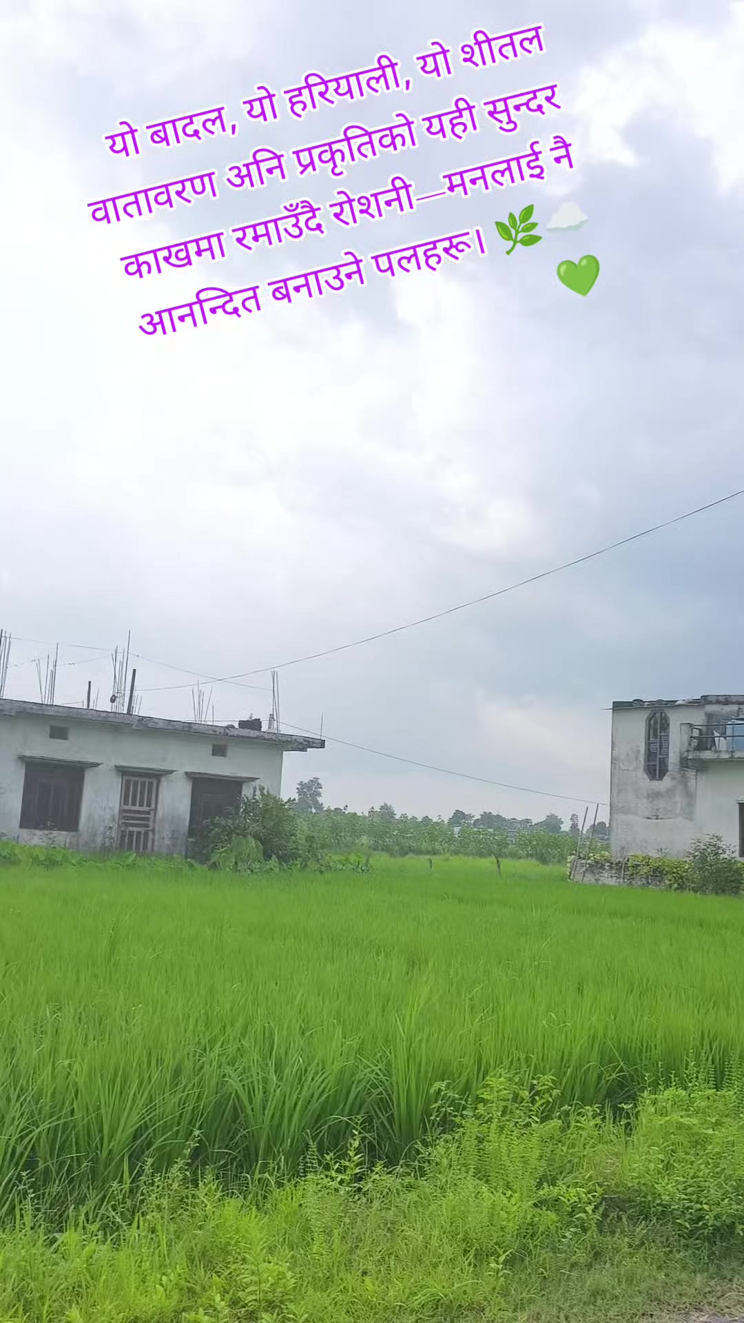 @Roshani Bhatt