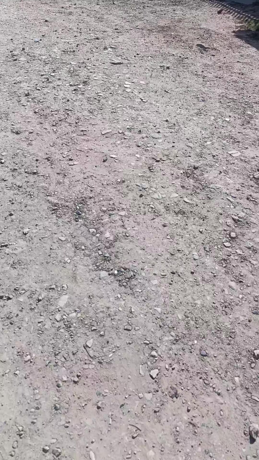 @Alex Páez 🇨🇴