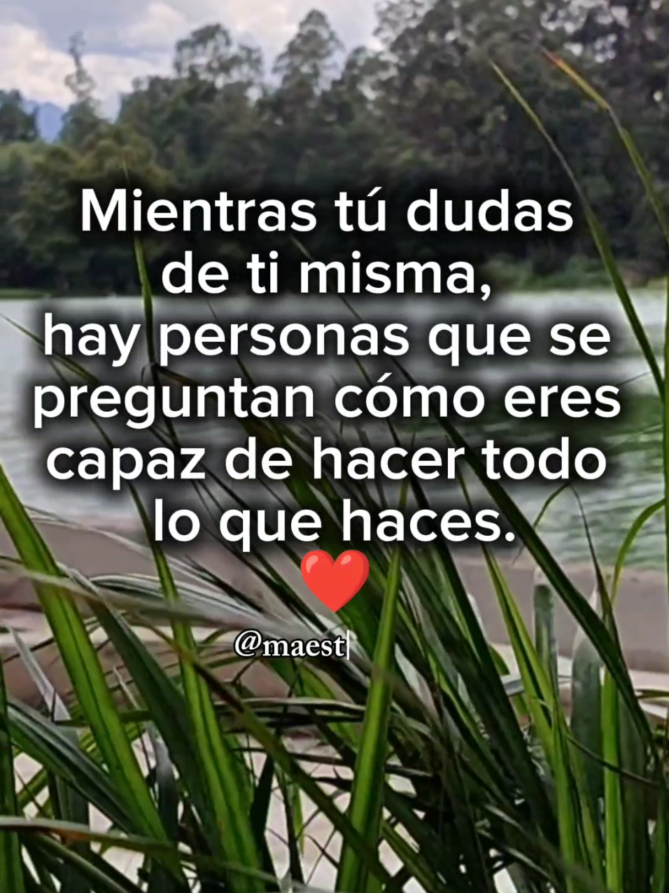 @maestrayos1
