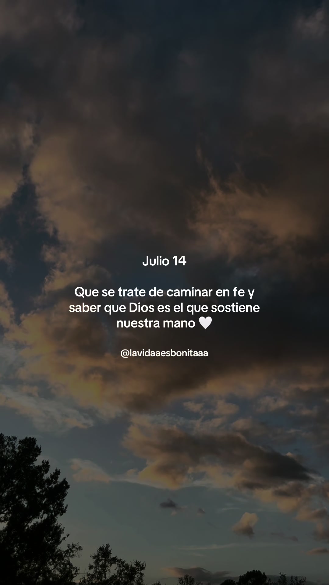 @vidabonita❤️🩹