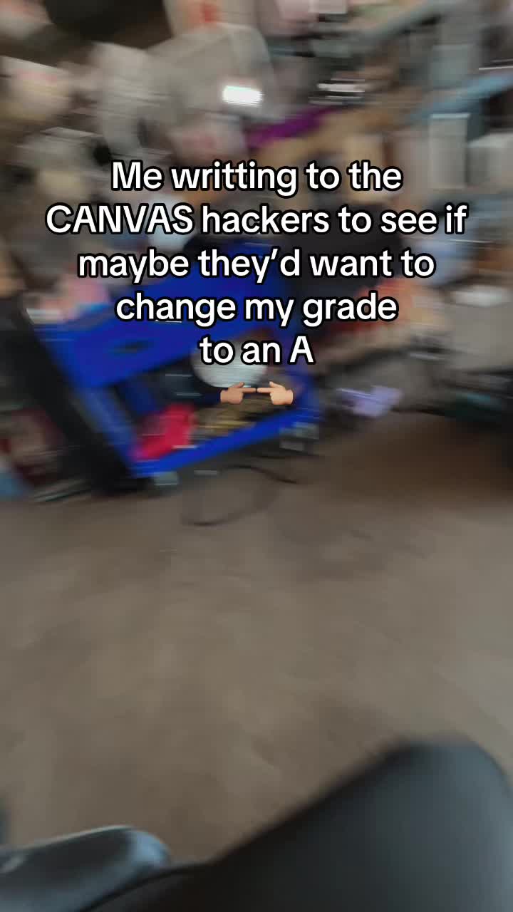 @holyavocadoosss