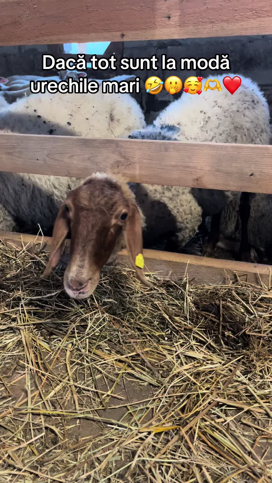 @Agroferma