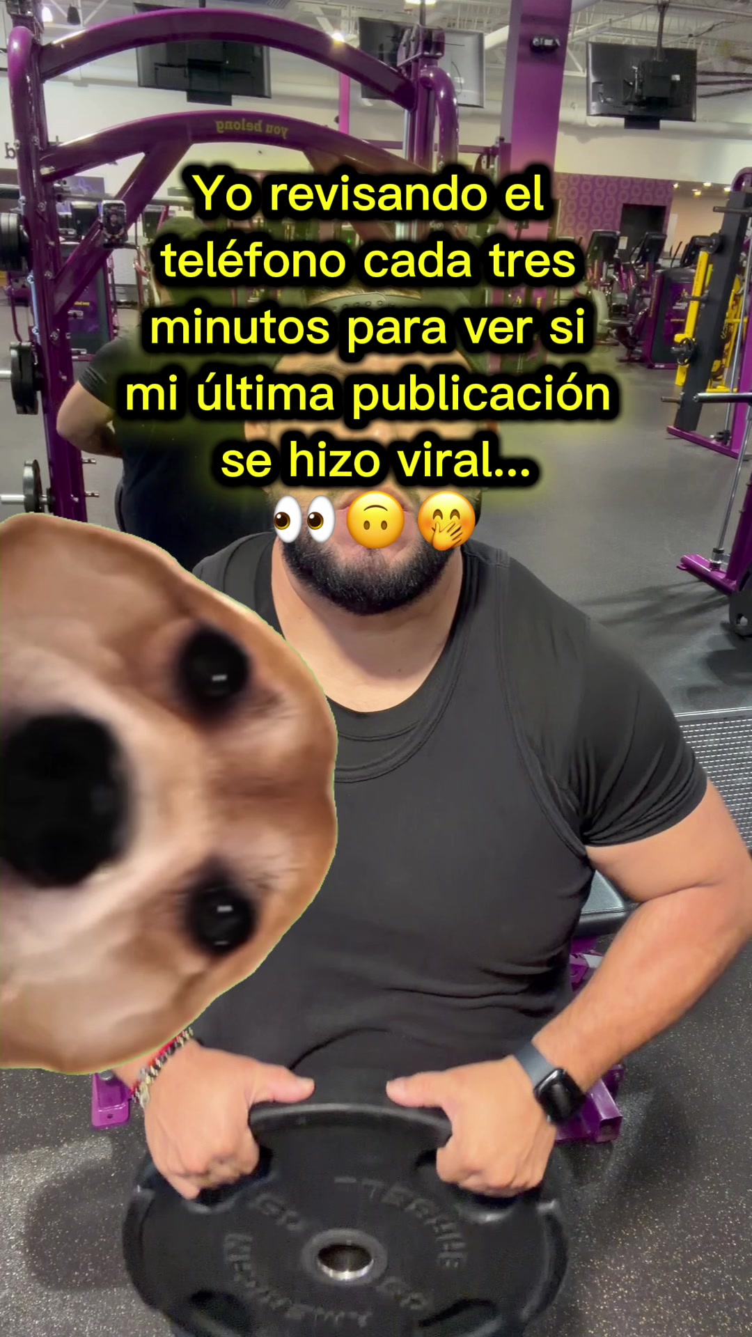 @walterherrera694