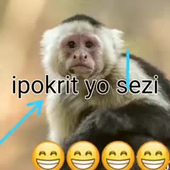 @Enock Jean