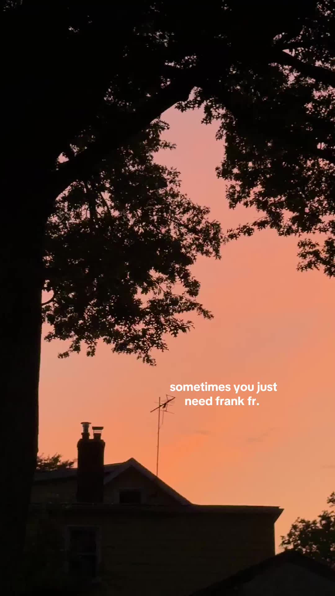 @WHATELSIESNEW