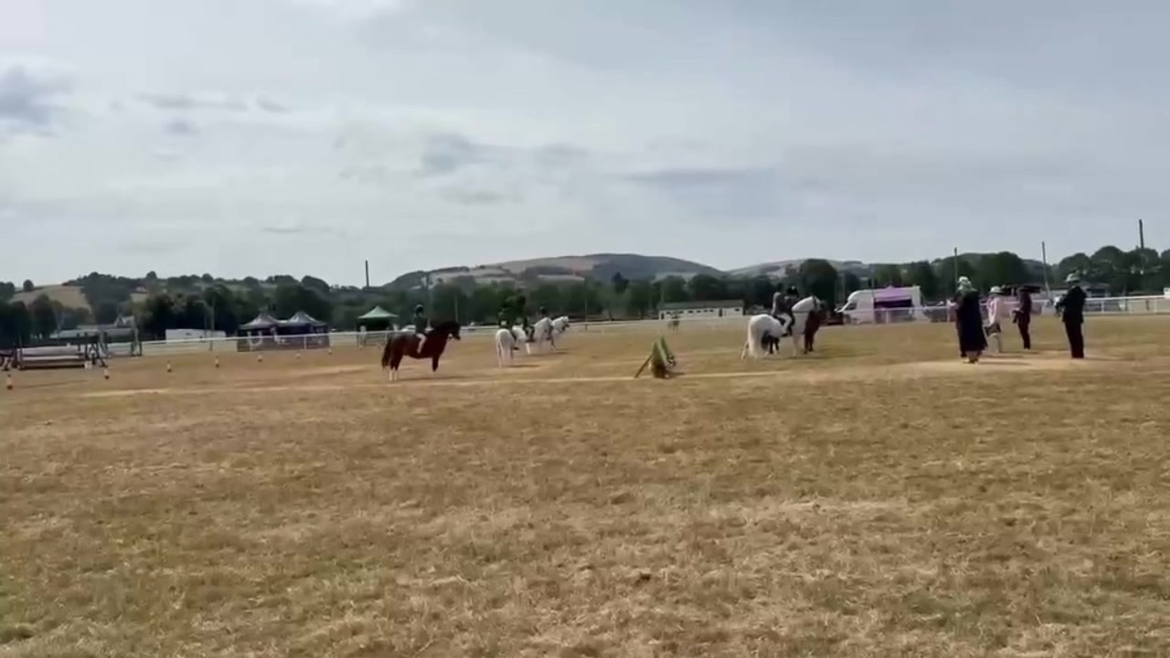 @AAPS_ponys