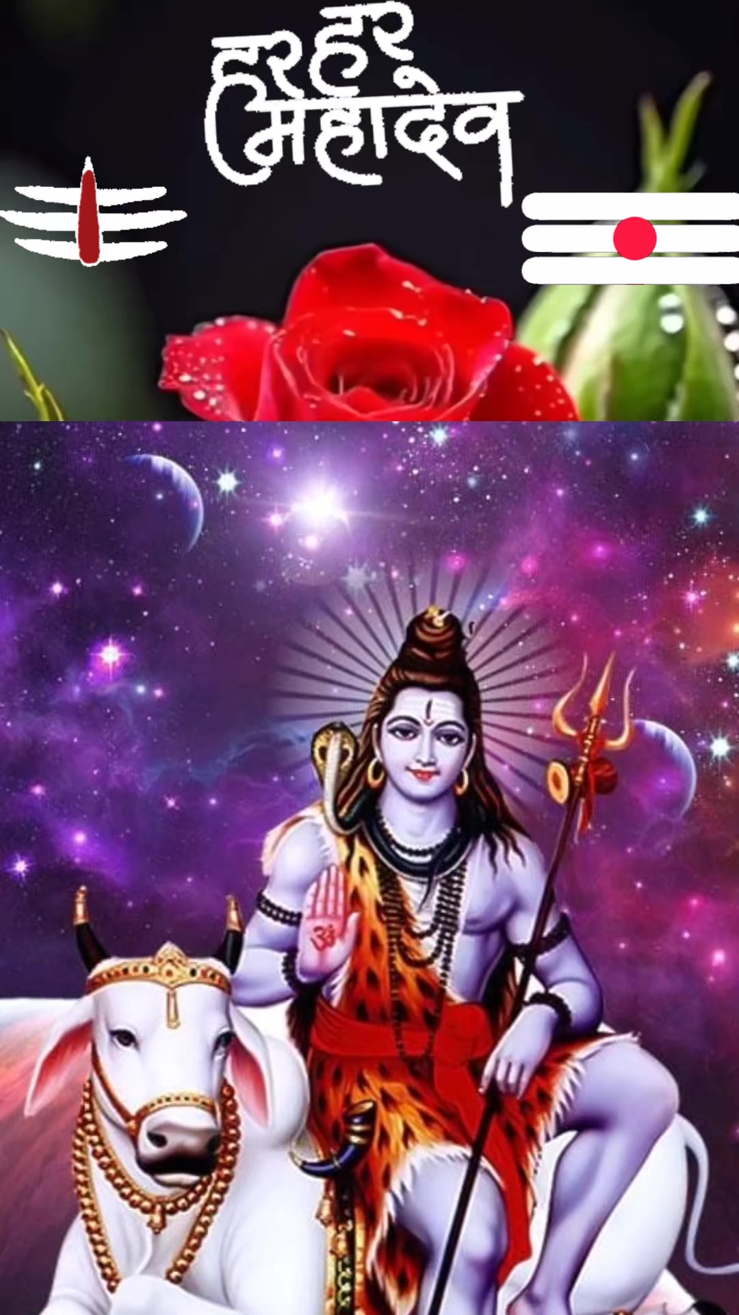 @Nutan Gupta