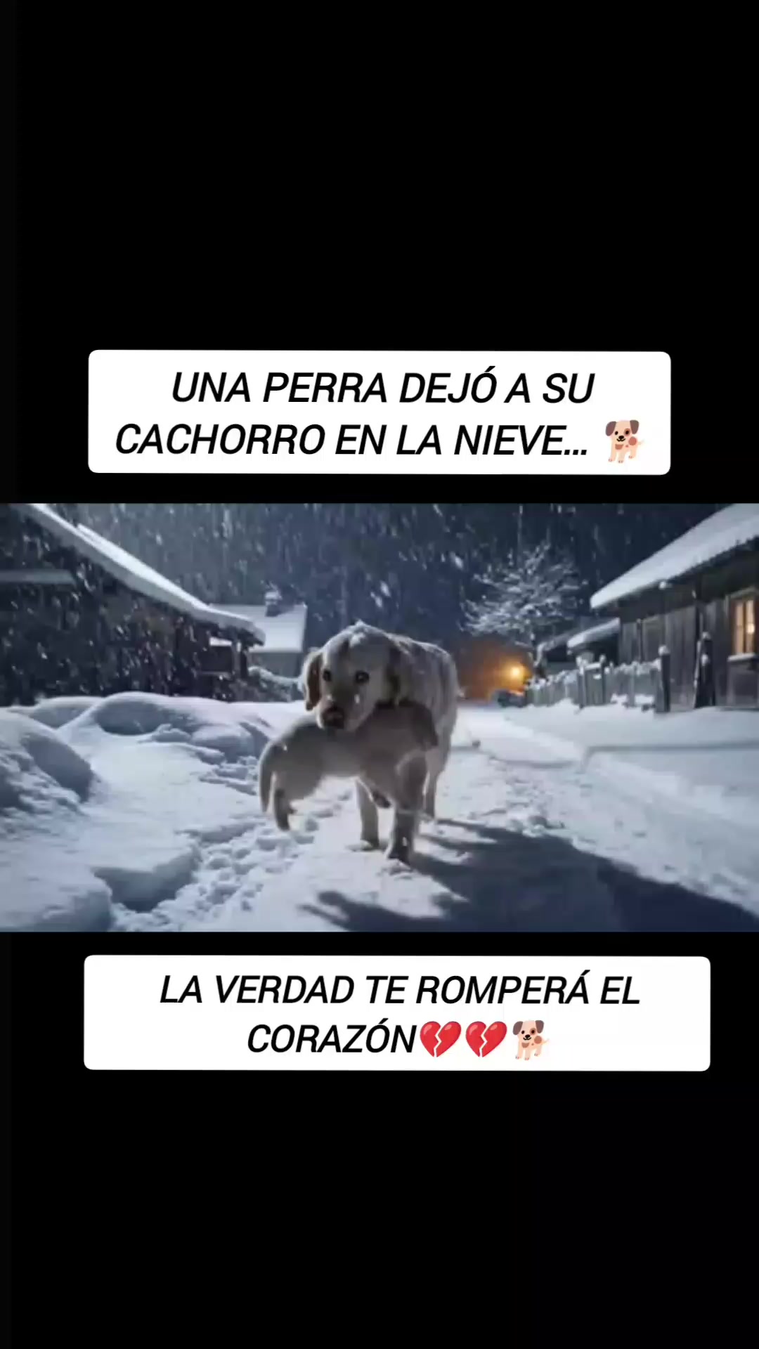 @RESCATANDO_HUELLITAS🐾🐾🐾