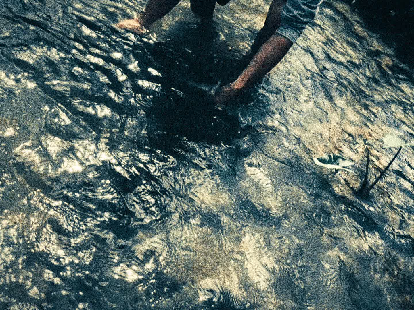 @wood.fishing
