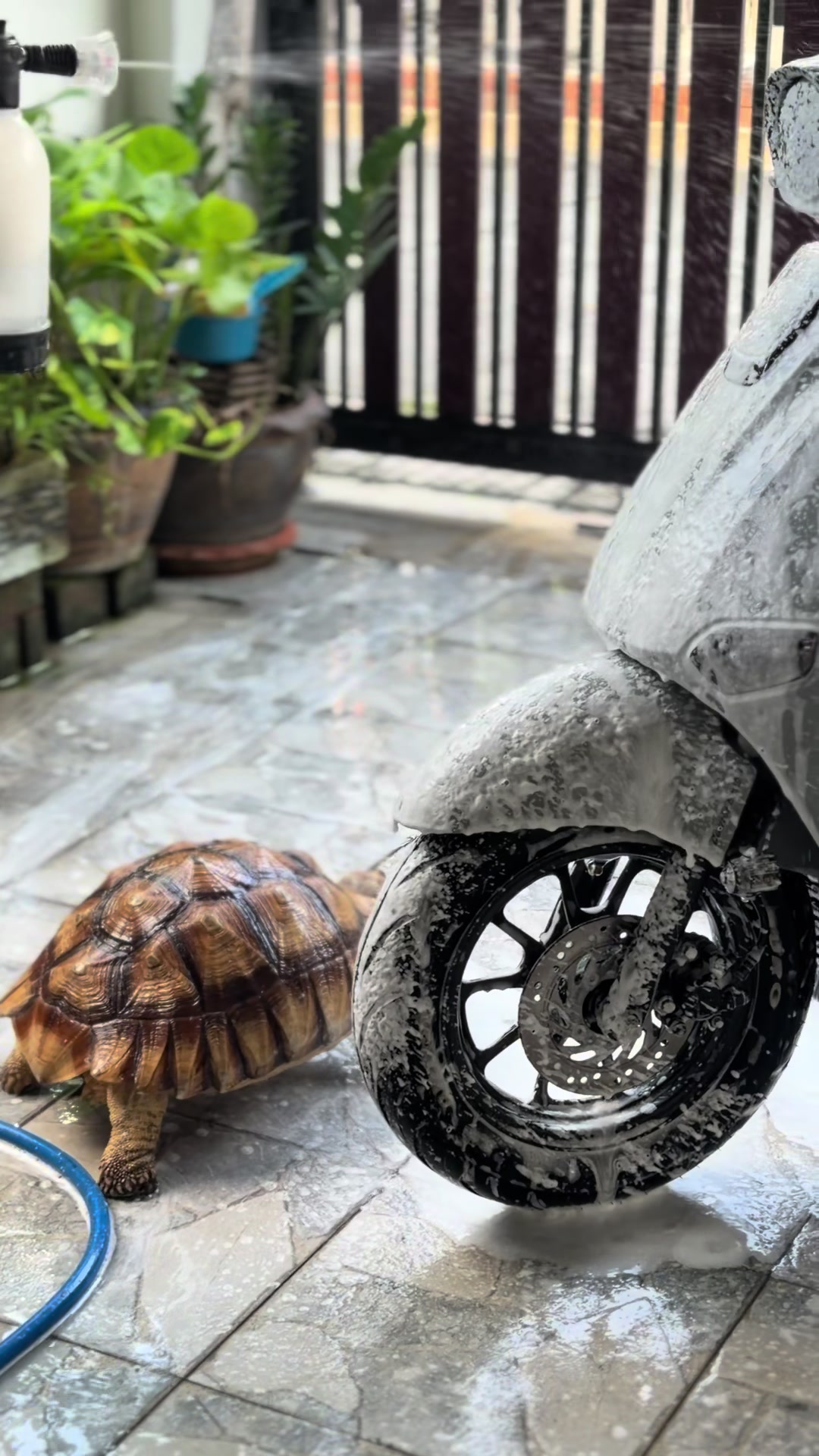 @จุไรพร ศรีนิล