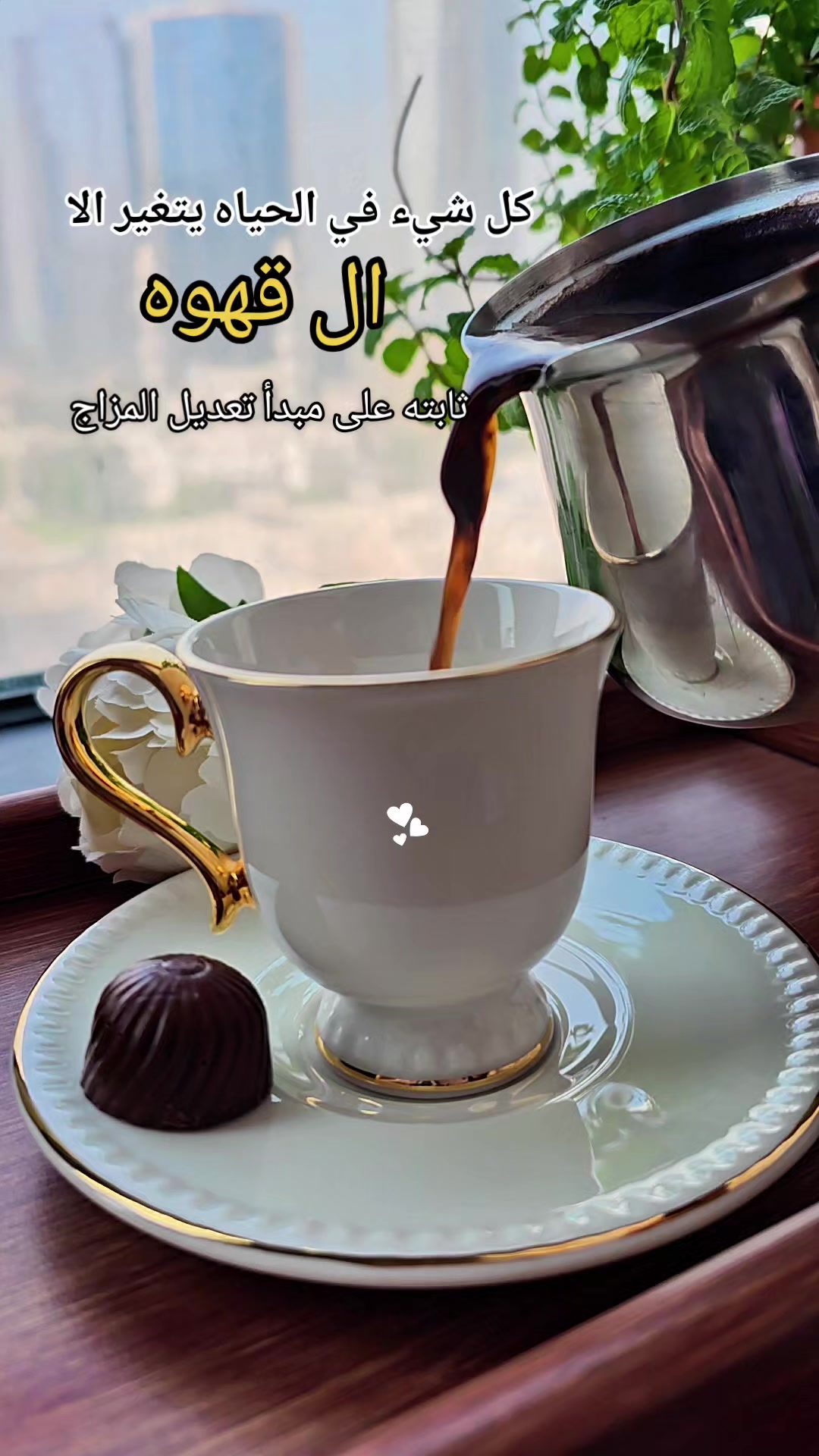 @fatima shilbaya