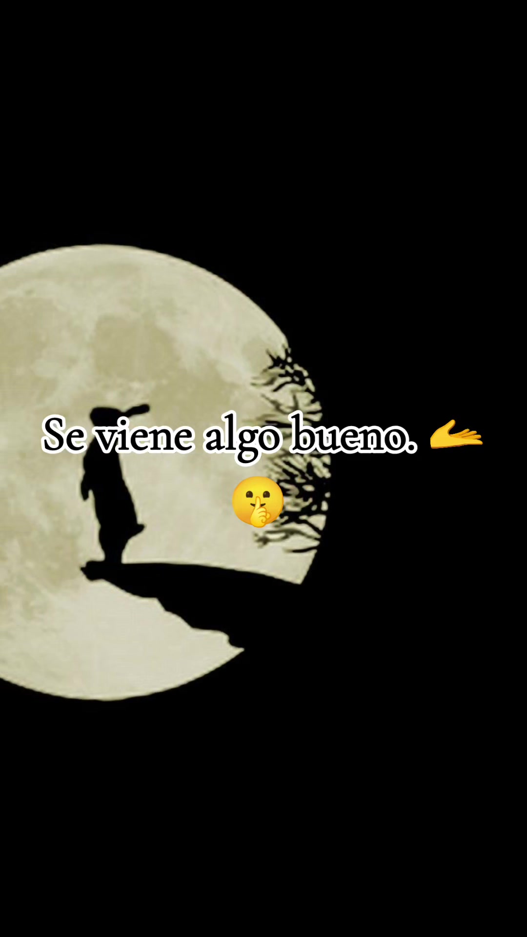 @๐ conejo ๐