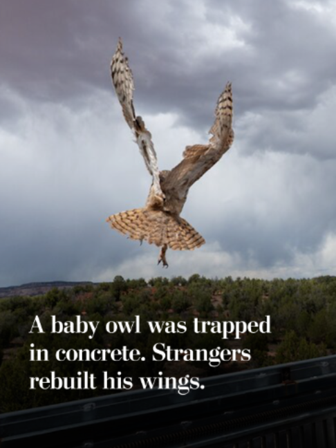 @The Washington Post