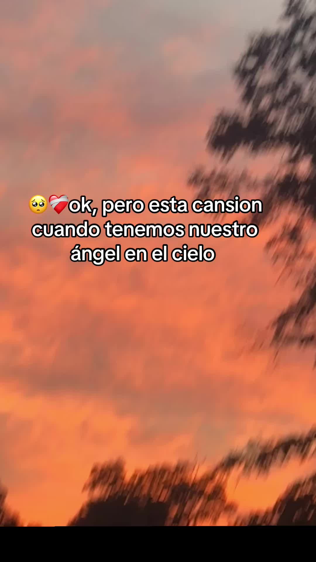 @Wendy Cisneros