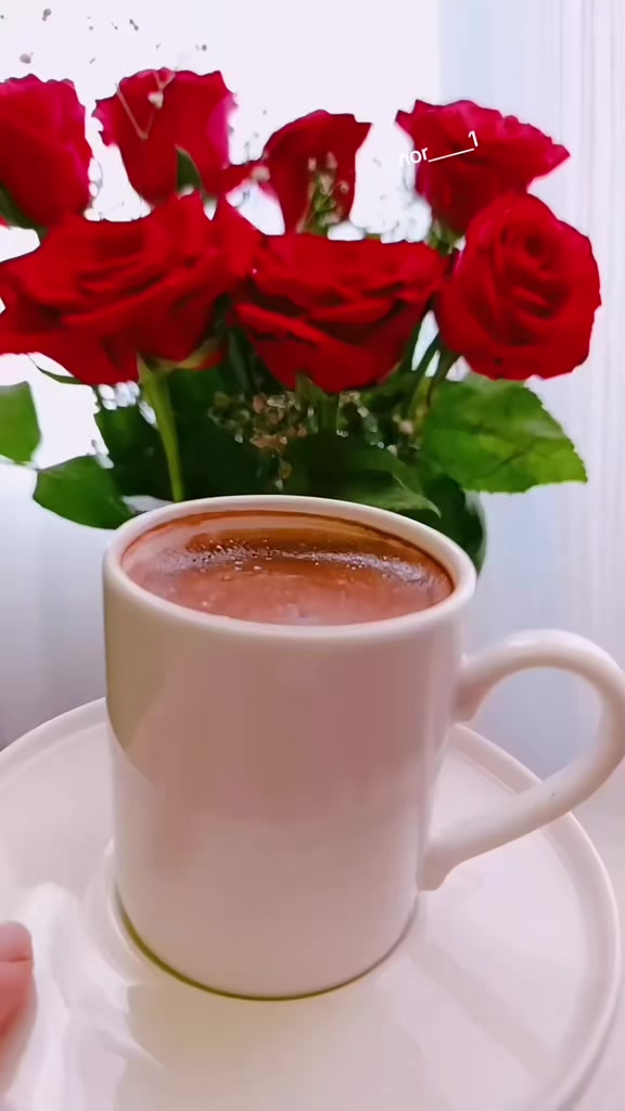 @نورا