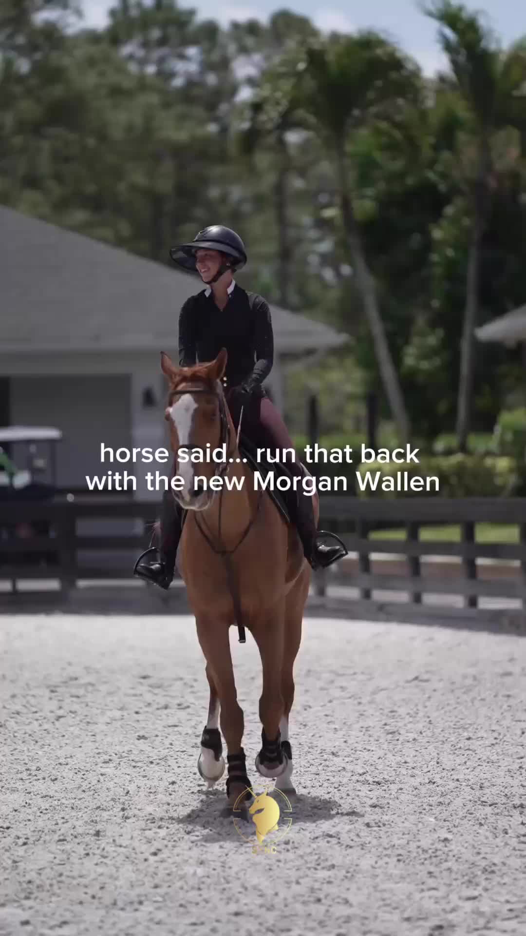 @Sync Equestrian