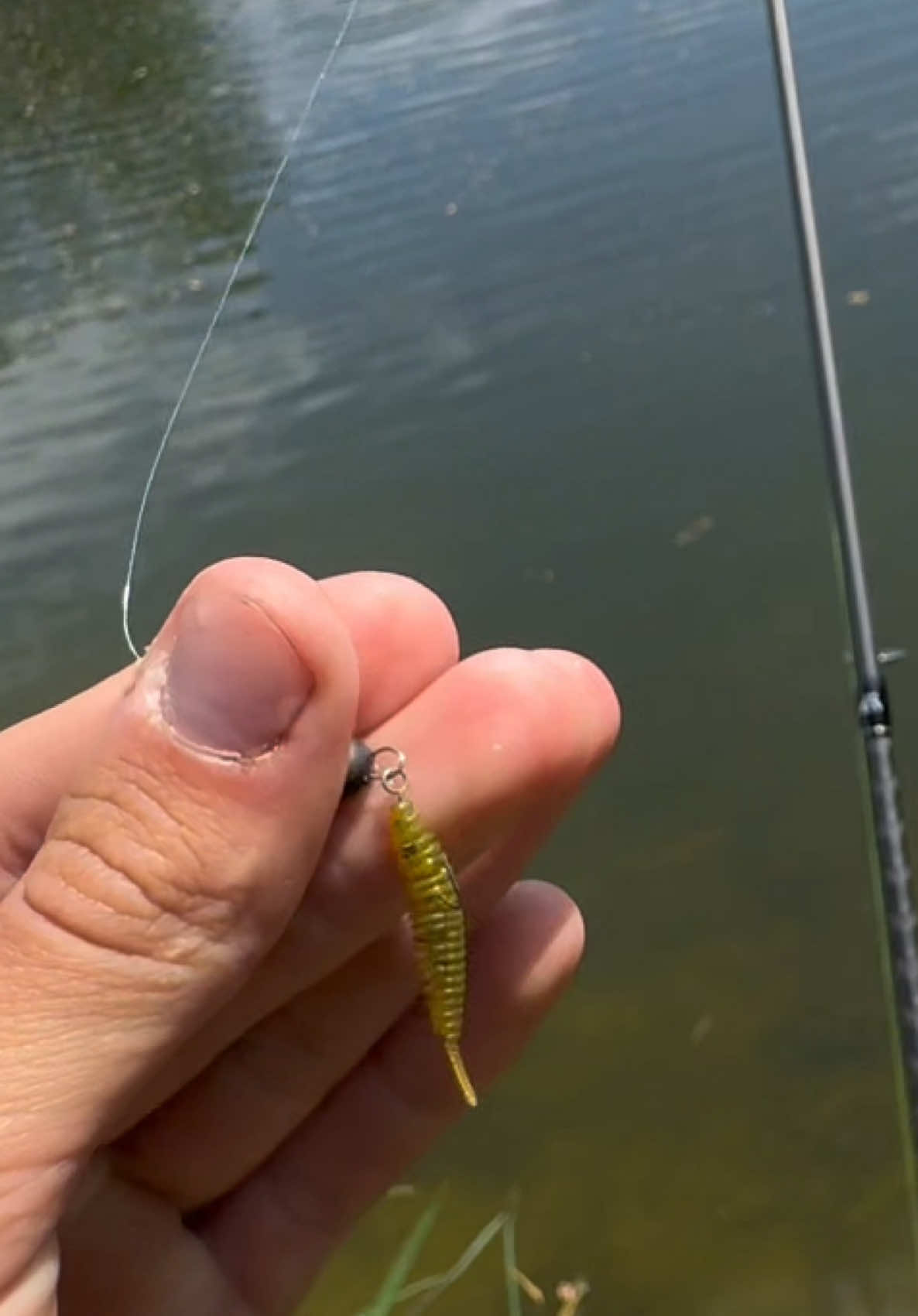 @𝗧𝗚.𝗗𝗬𝗫𝗙𝗜𝗦𝗛🎣