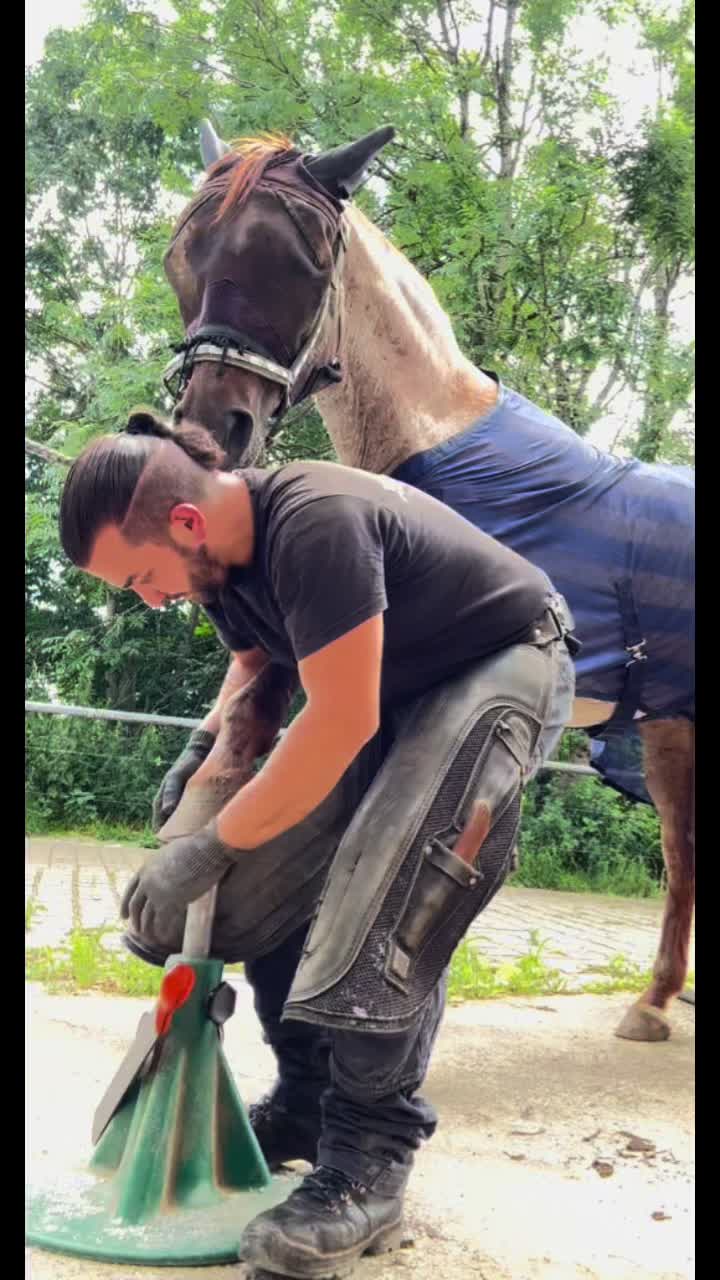 @Julian 🐴