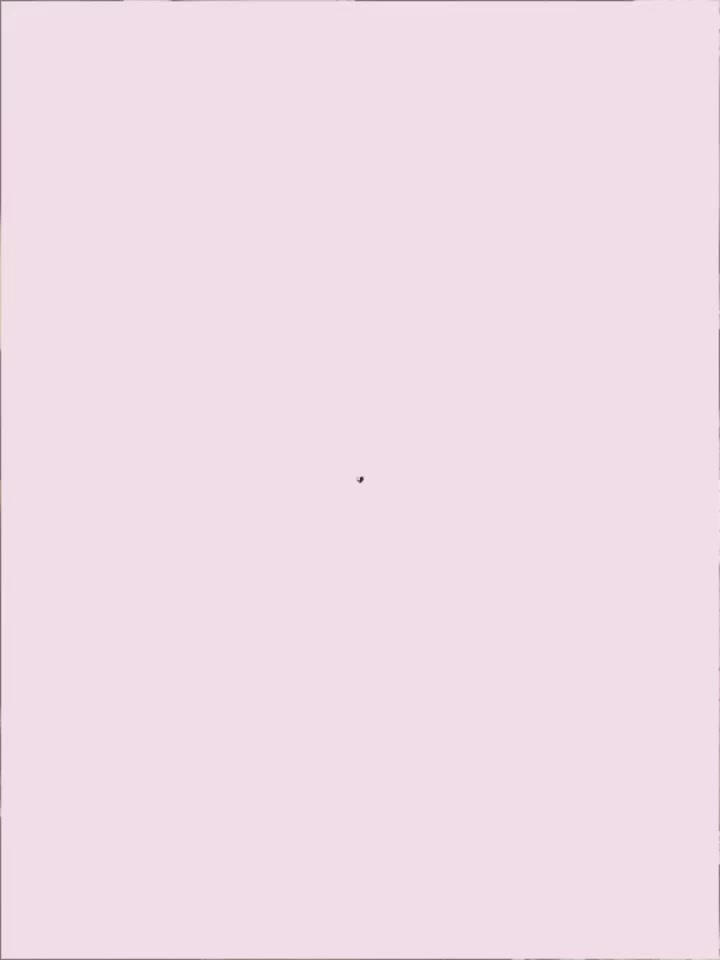 @𐙚:˚୨୧zee🌀🐚⋆