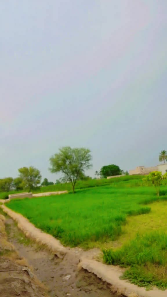 @جام Zahid
