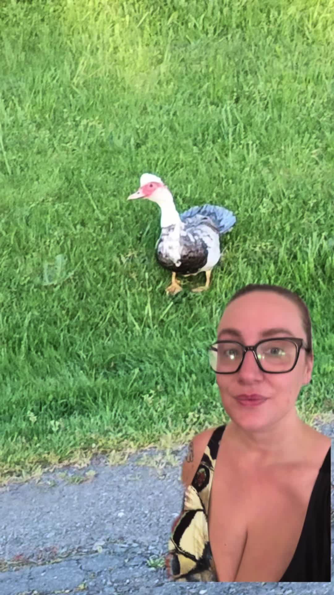@refashionedhippie