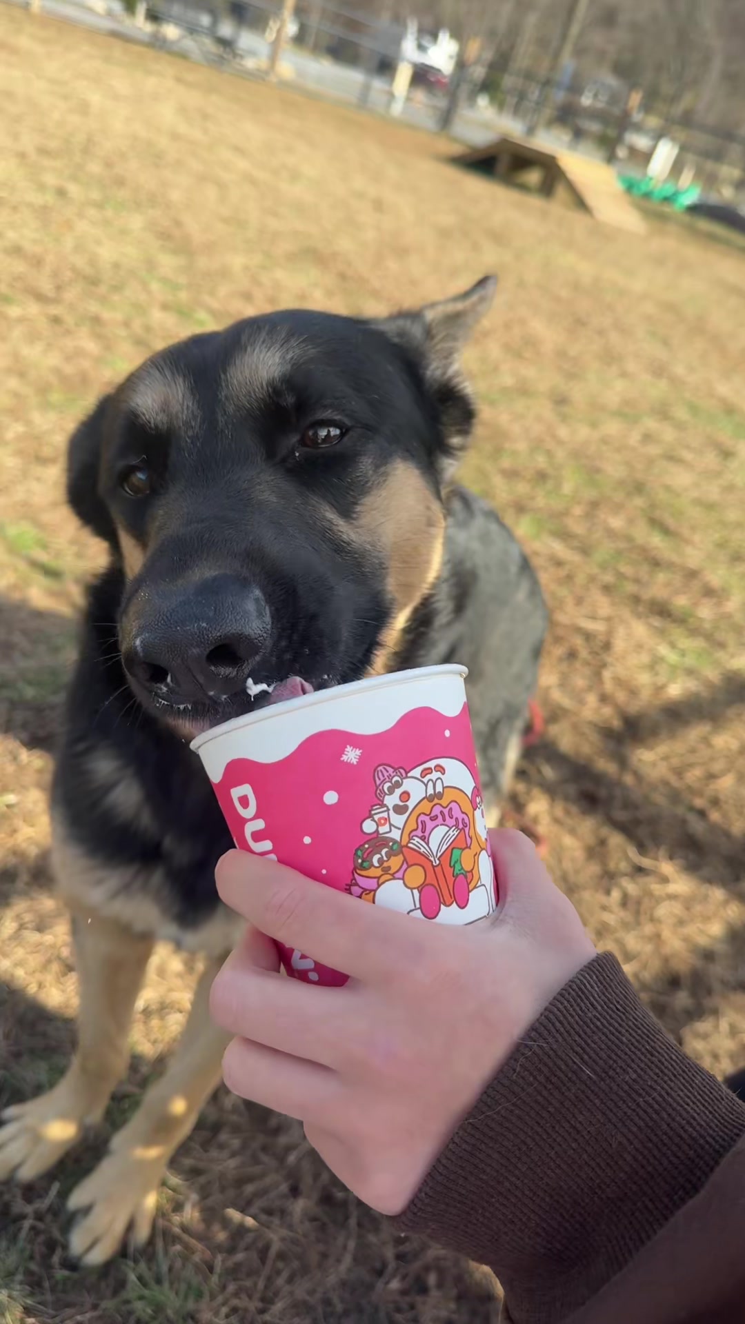 @prettypinkponies1