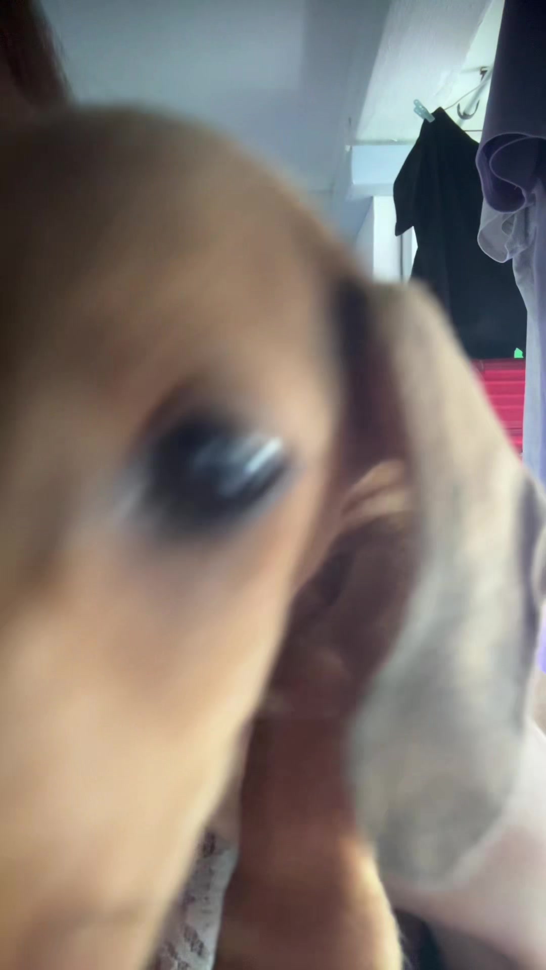 @𝒸