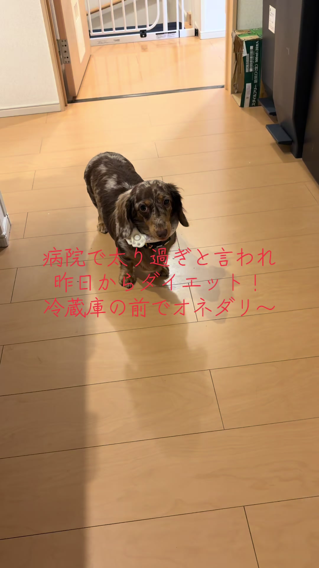 @ケン