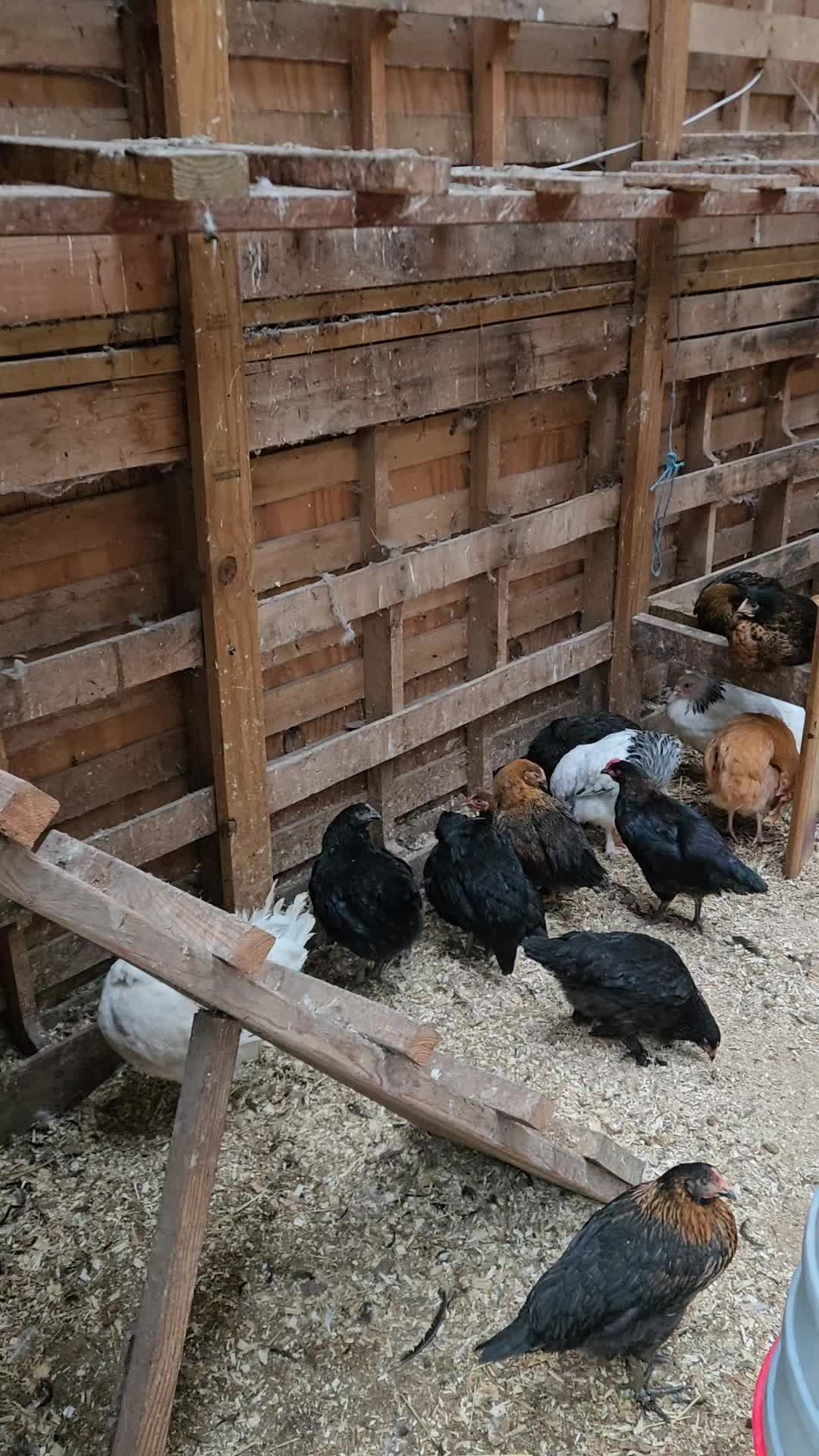@Thero Family Farm