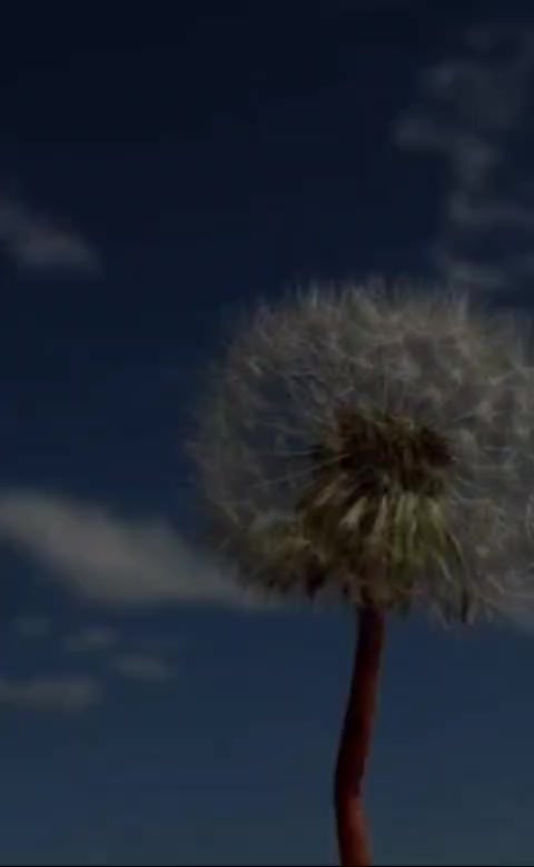 @MC777