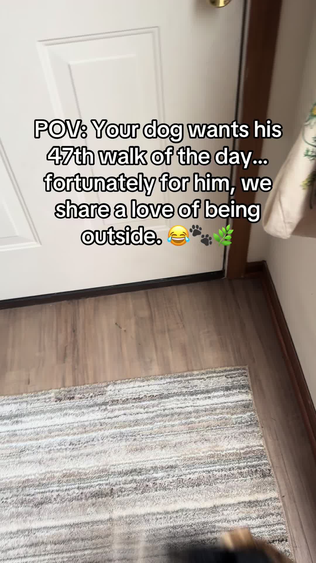 @vineanddandy
