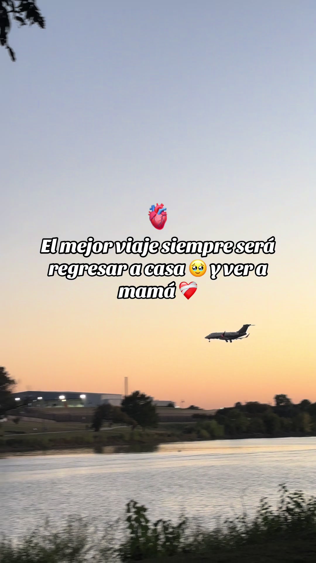 @Miguel de pa&uacute;l